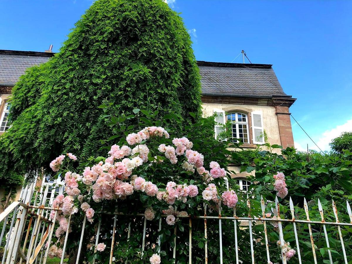 Schloss Hilbringen แมร์ซิก ภายนอก รูปภาพ